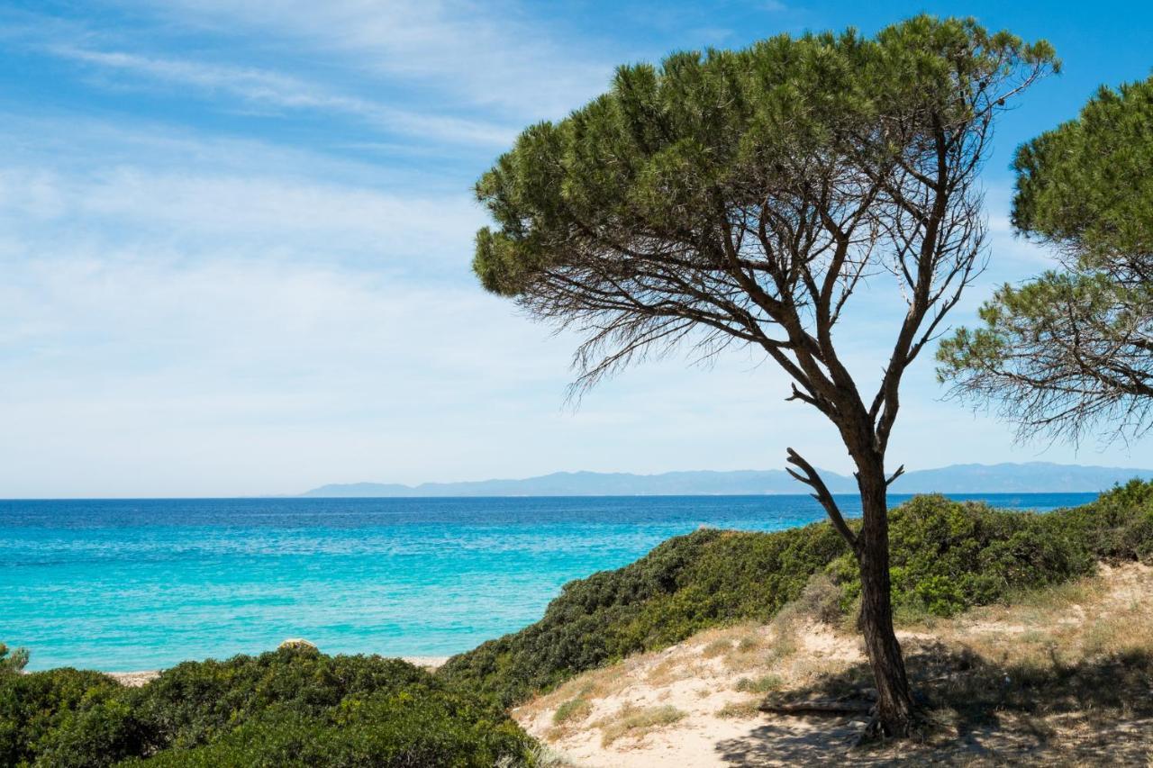 Appartamento Con Vista Mare A Terramala Terra Mala Екстериор снимка